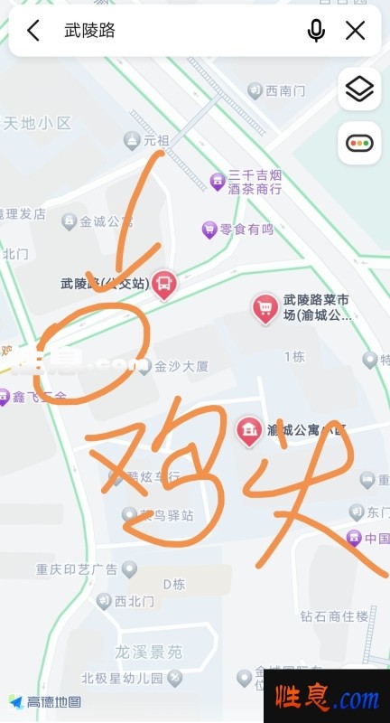 6729.jpg