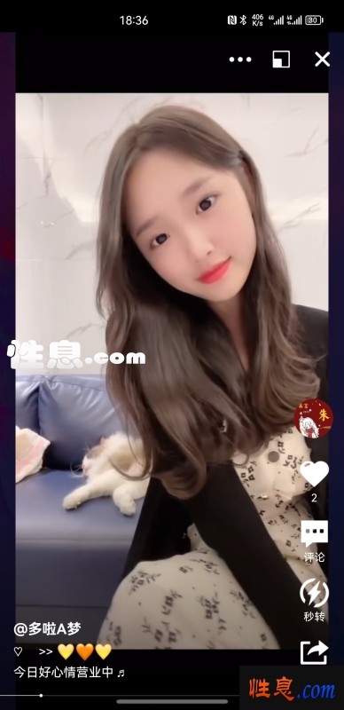 7081.jpg