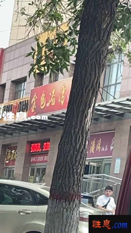 33687.jpg