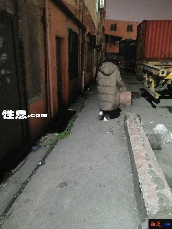 27032.jpg