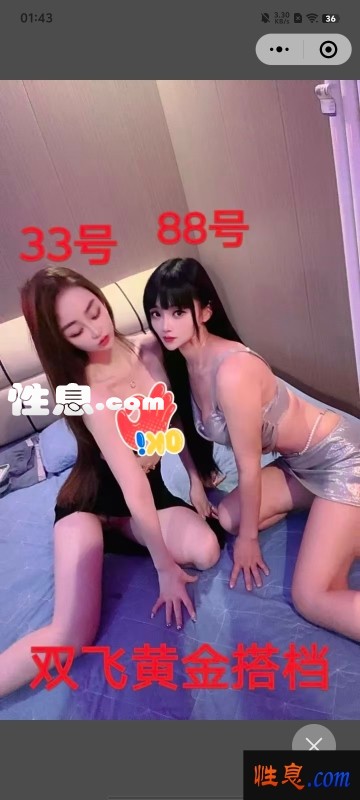 15311.jpg