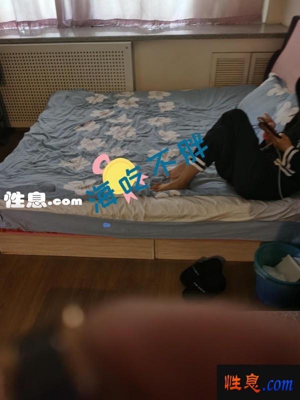 25529.jpg