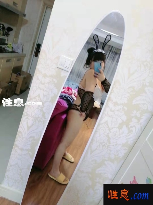 41362.jpg