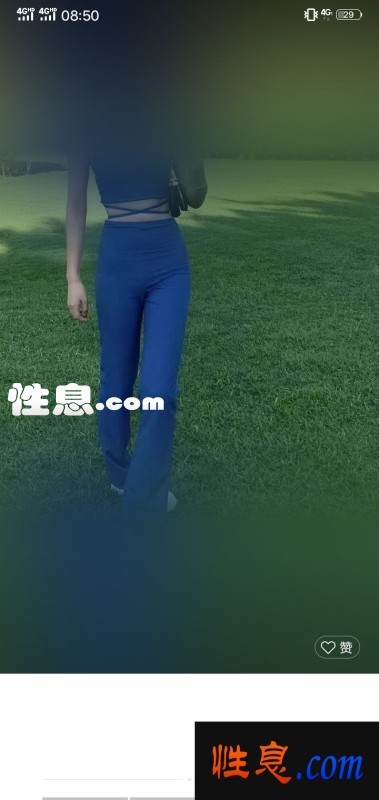 29241.jpg