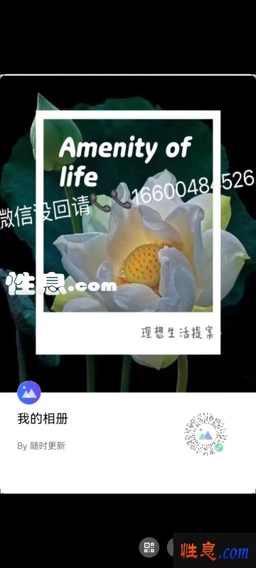 33343.jpg