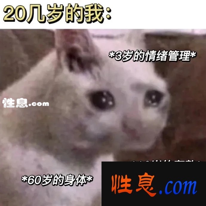 46548.jpg