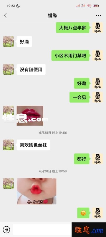47026.jpg
