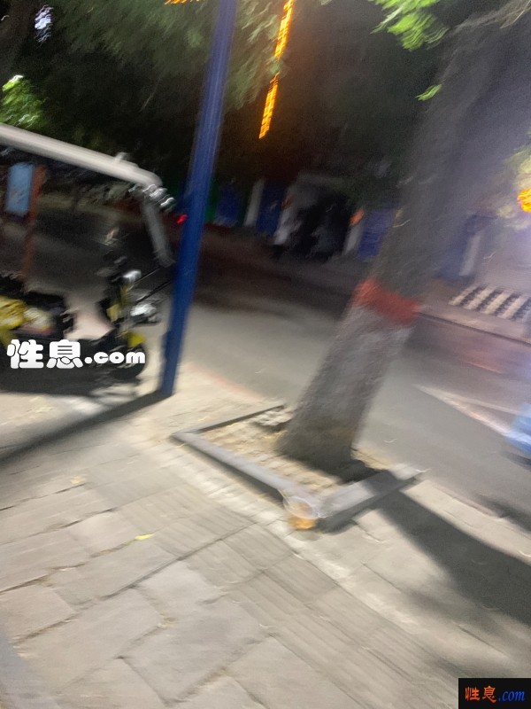 49747.jpg