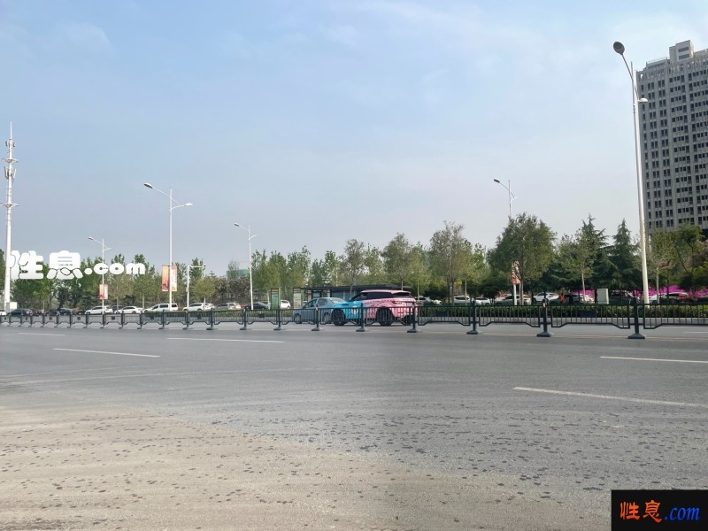 51373.jpg