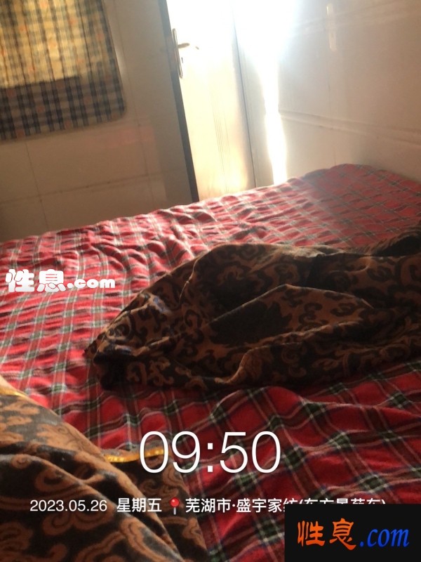 52797.jpg