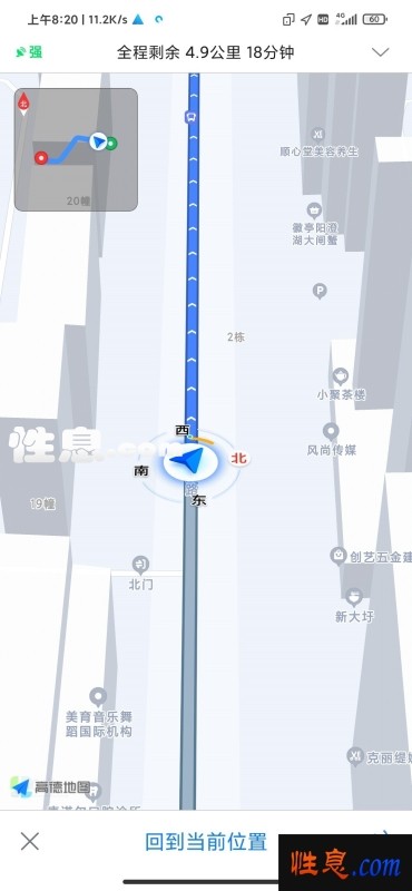54939.jpg