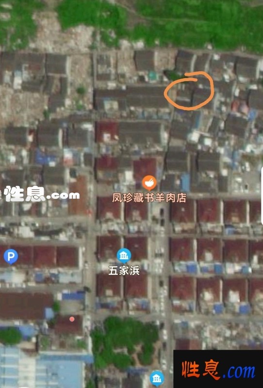 23580.jpg