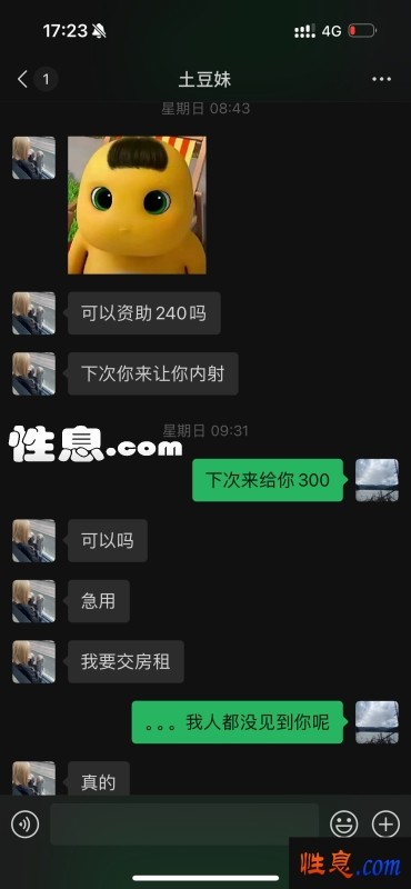 24956.jpg