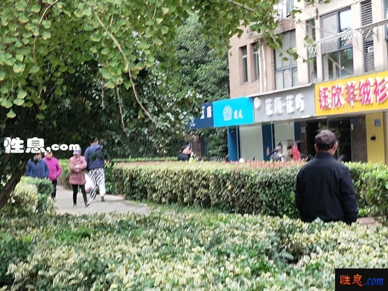 25871.jpg