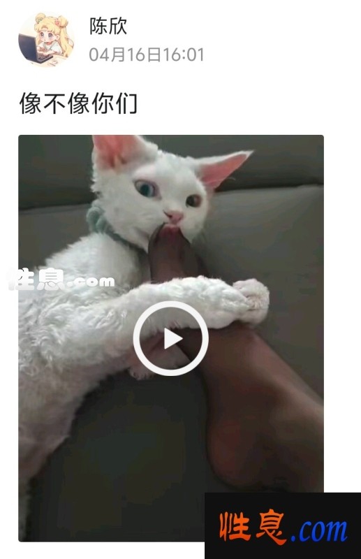 30808.jpg