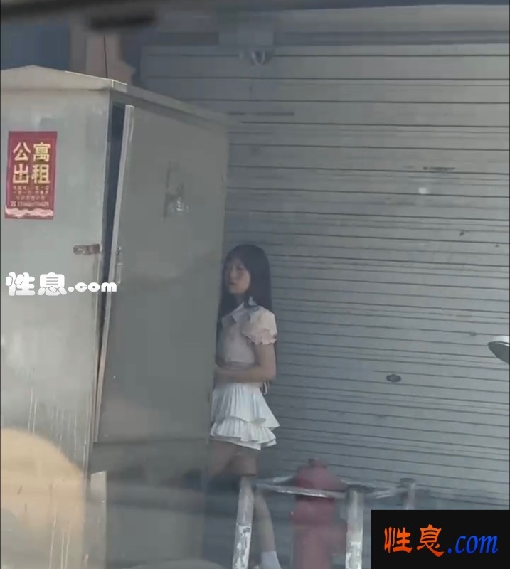 33027.jpg