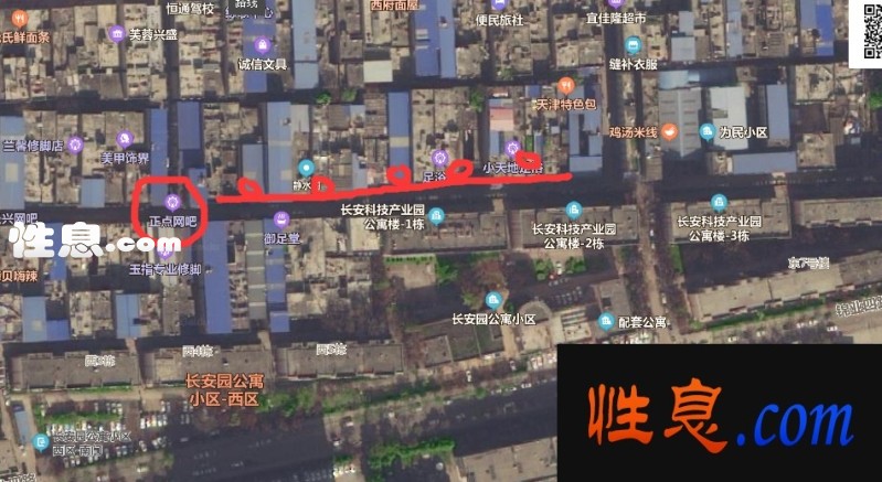 58585.jpg