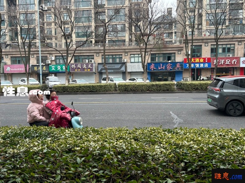 37368.jpg