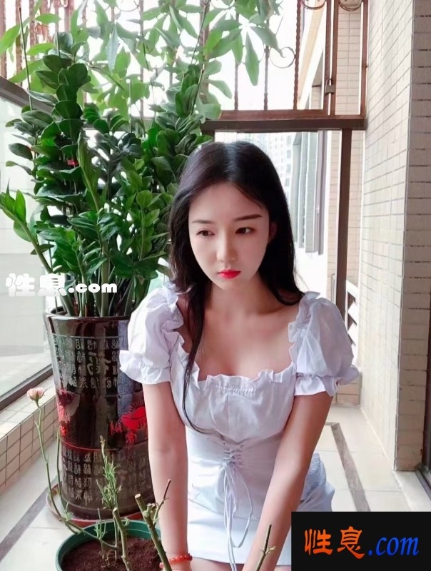 41912.jpg