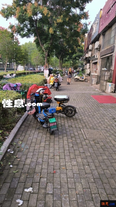 43171.jpg