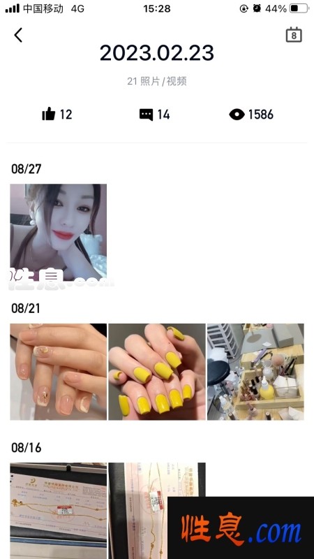 44637.jpg