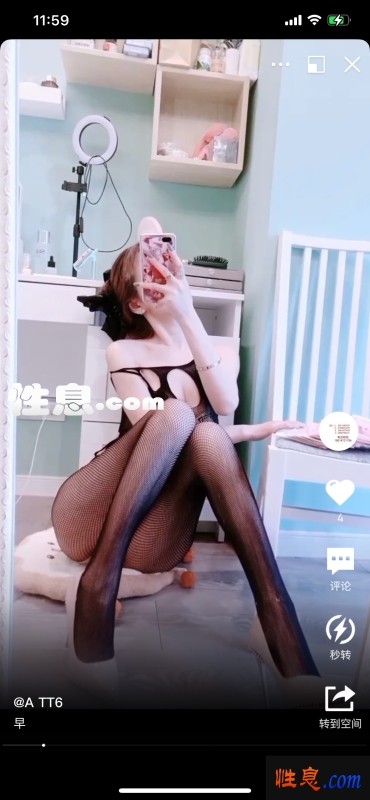49328.jpg