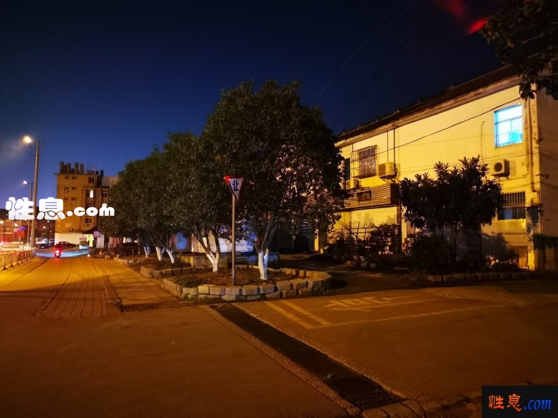 54920.jpg