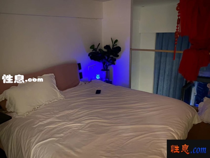 54961.jpg