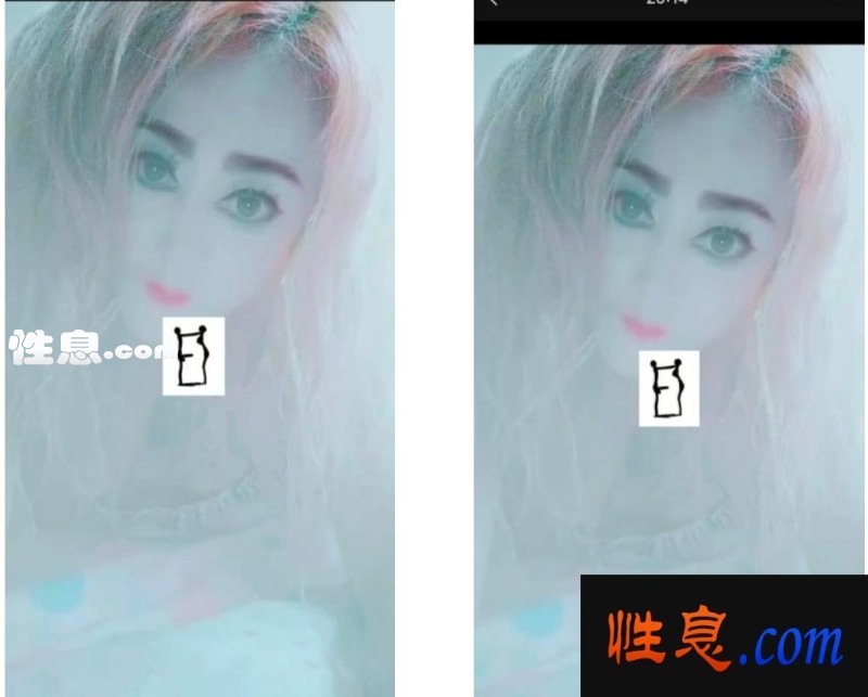 41466.jpg