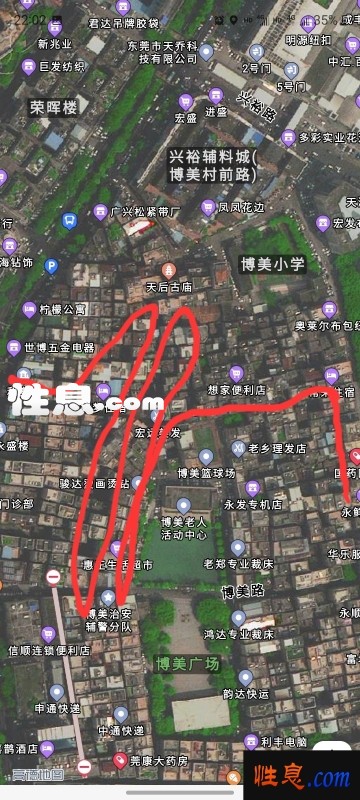 65263.jpg
