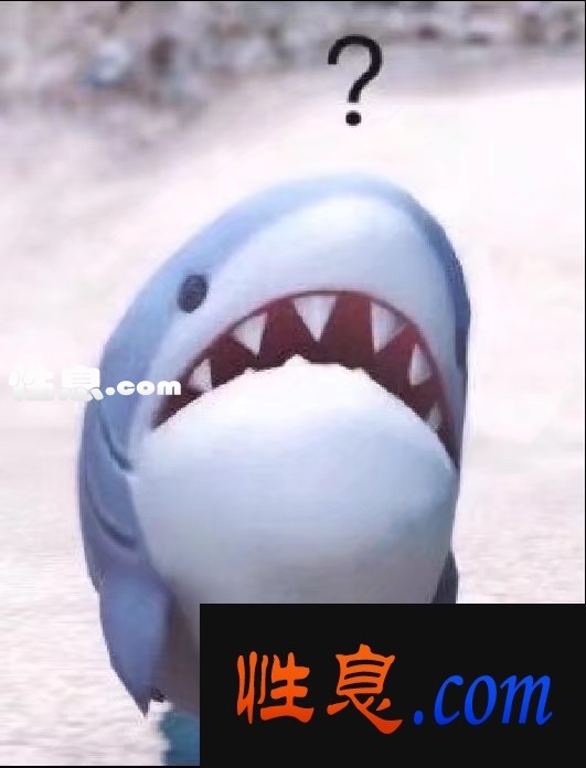 45446.jpg